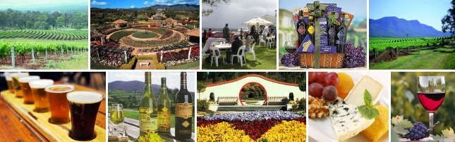 Hunter Valley Vineyard Group Bus Trips Image -593b1e693a922